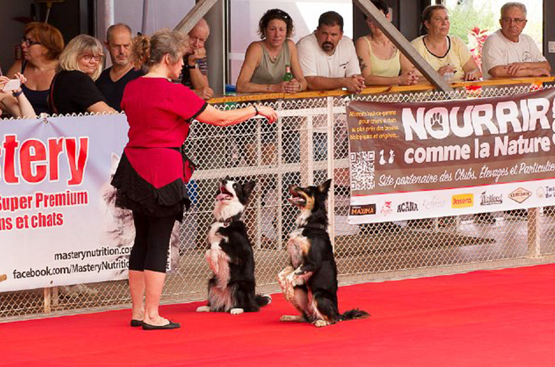 Evénements 2017 Dog Dancing CASE Club agility de Sainte Euphémie