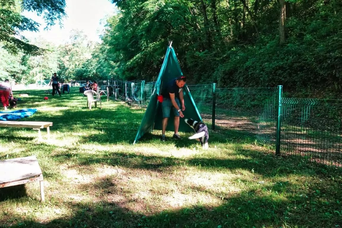 19922022. Le CASE a 30 ans ! CASE Club agility de Sainte Euphémie