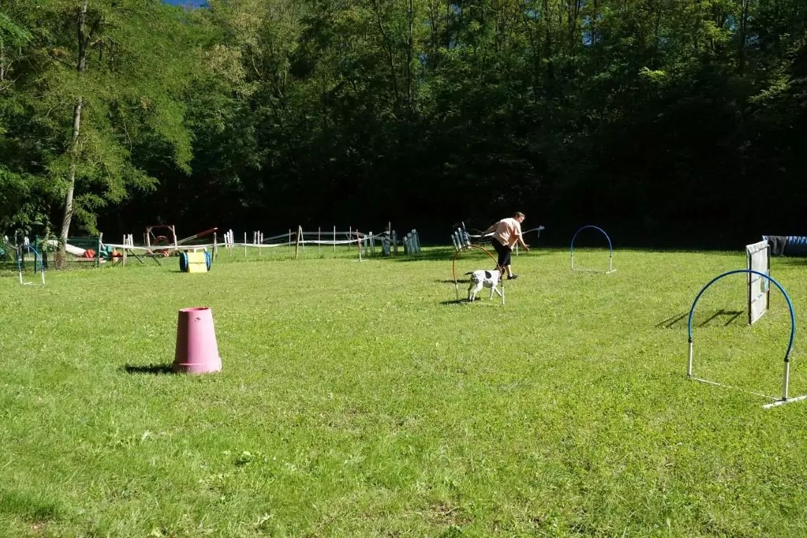 19922022. Le CASE a 30 ans ! CASE Club agility de Sainte Euphémie
