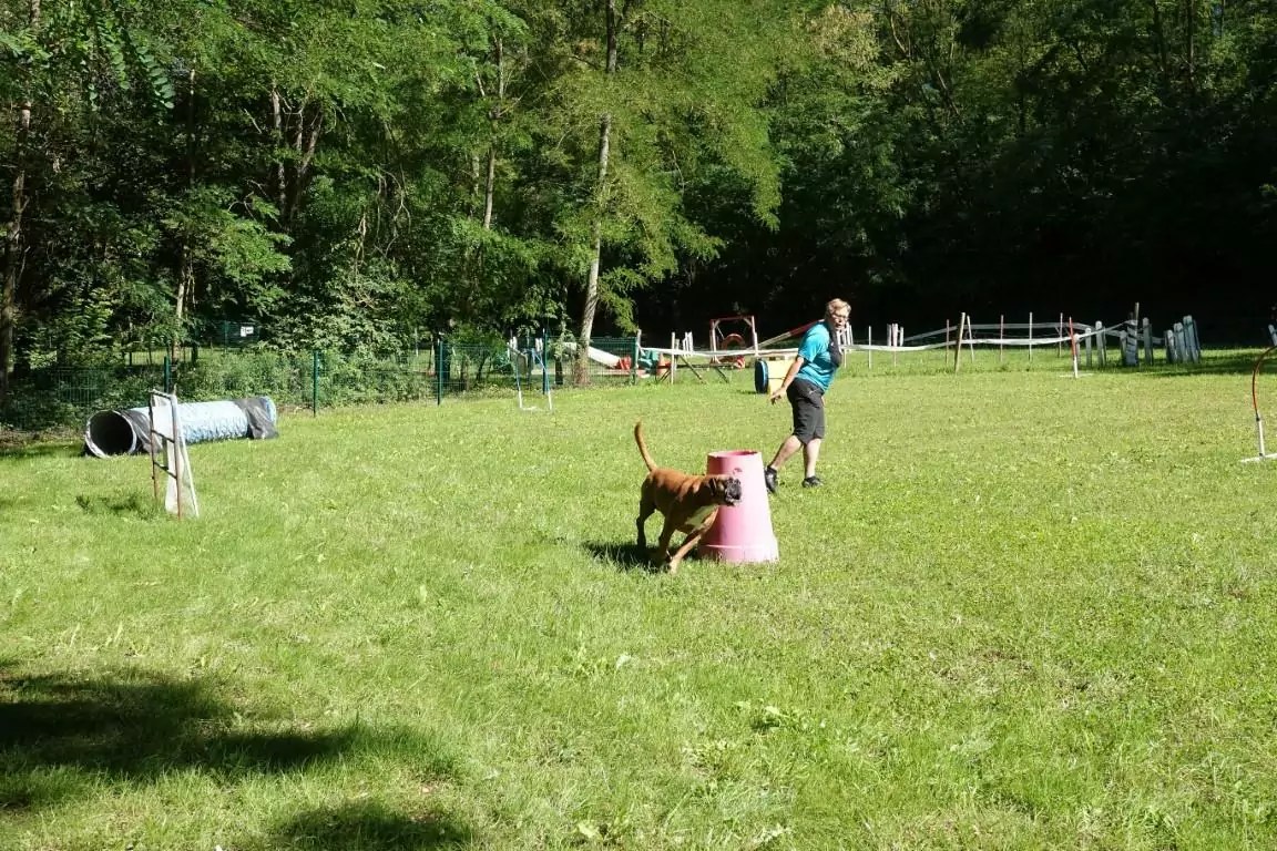 19922022. Le CASE a 30 ans ! CASE Club agility de Sainte Euphémie