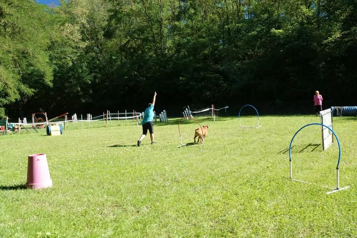 19922022. Le CASE a 30 ans ! CASE Club agility de Sainte Euphémie