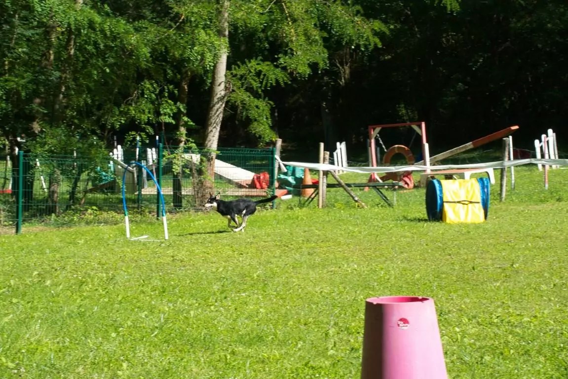 19922022. Le CASE a 30 ans ! CASE Club agility de Sainte Euphémie