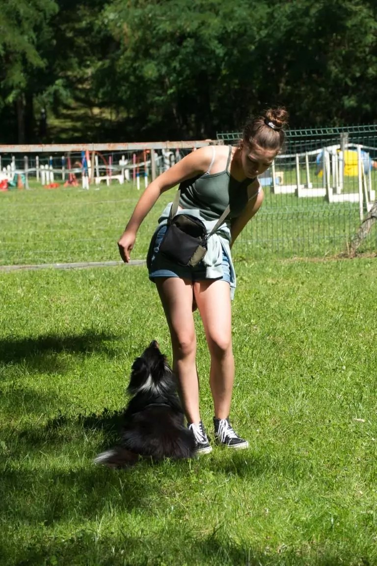 19922022. Le CASE a 30 ans ! CASE Club agility de Sainte Euphémie