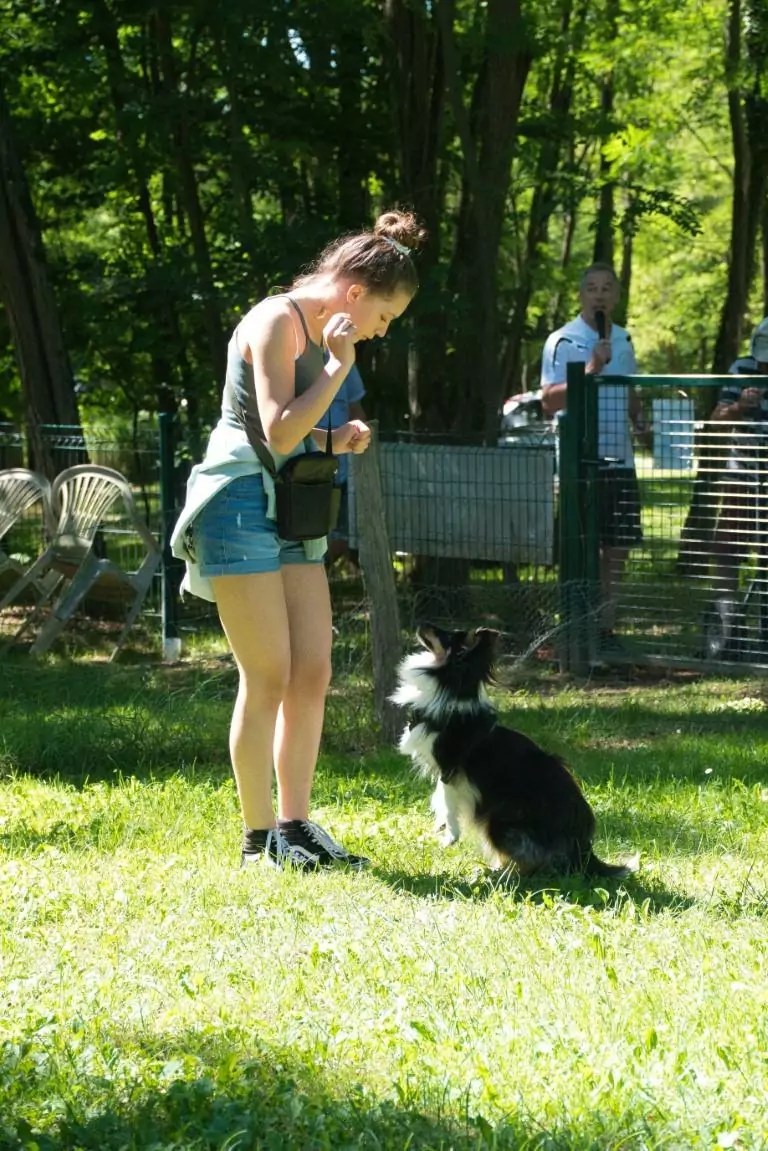 19922022. Le CASE a 30 ans ! CASE Club agility de Sainte Euphémie