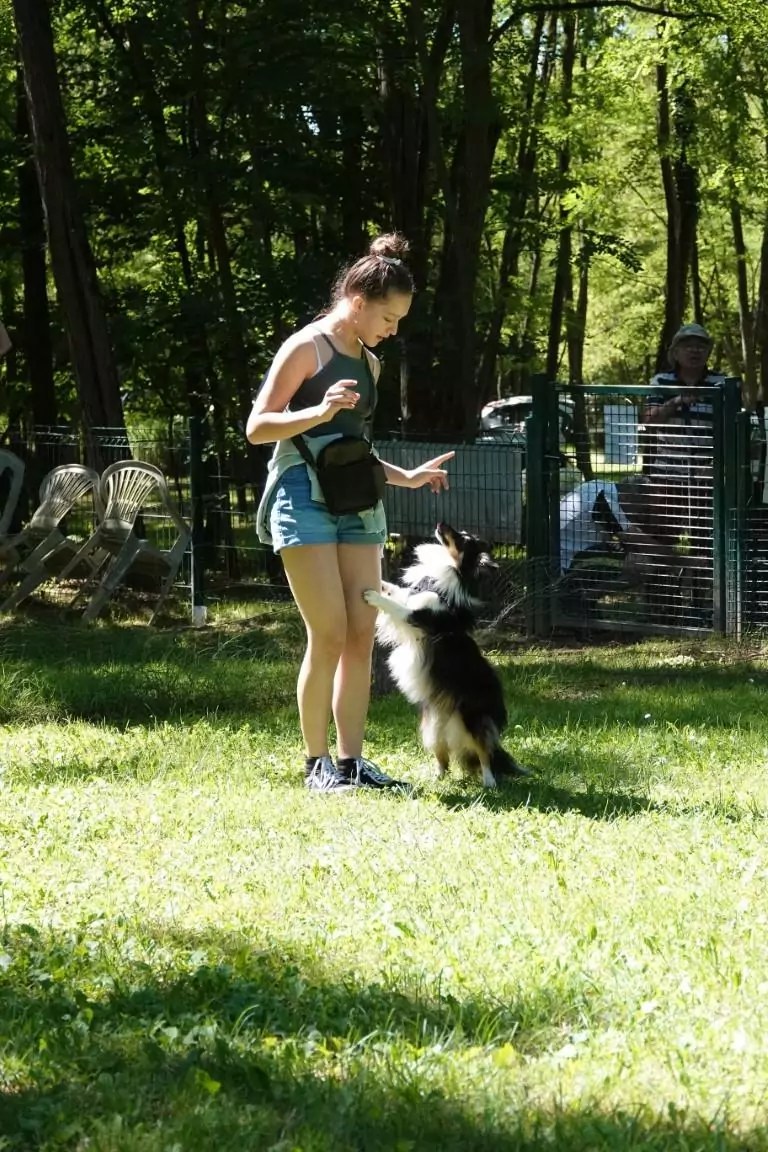 19922022. Le CASE a 30 ans ! CASE Club agility de Sainte Euphémie