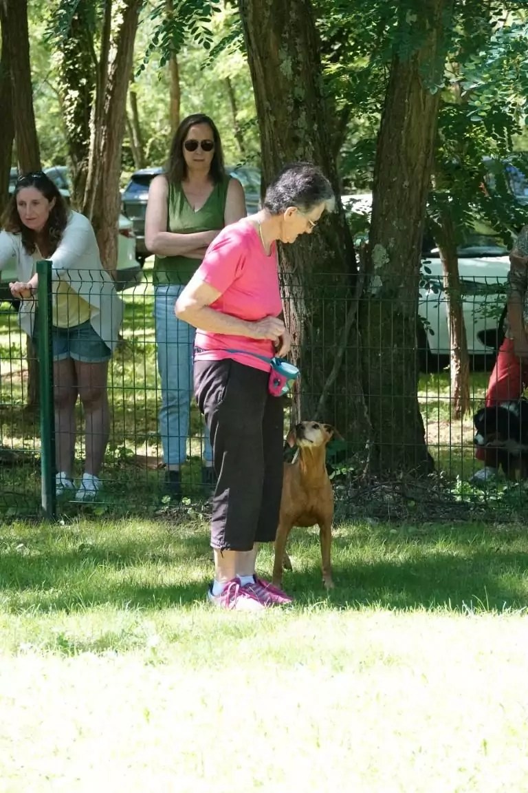 19922022. Le CASE a 30 ans ! CASE Club agility de Sainte Euphémie