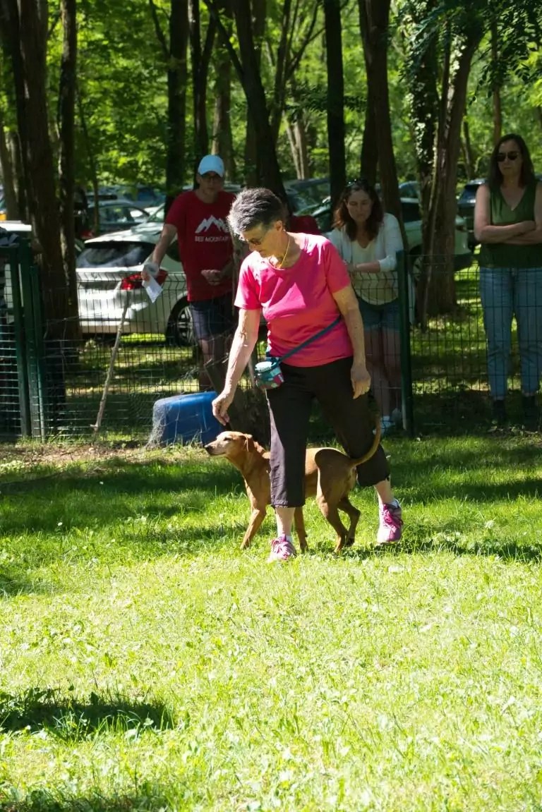 19922022. Le CASE a 30 ans ! CASE Club agility de Sainte Euphémie