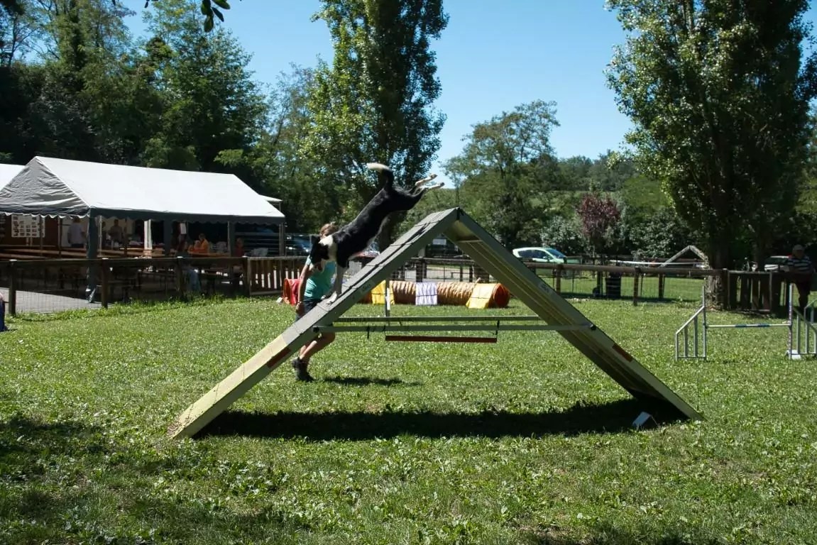 19922022. Le CASE a 30 ans ! CASE Club agility de Sainte Euphémie