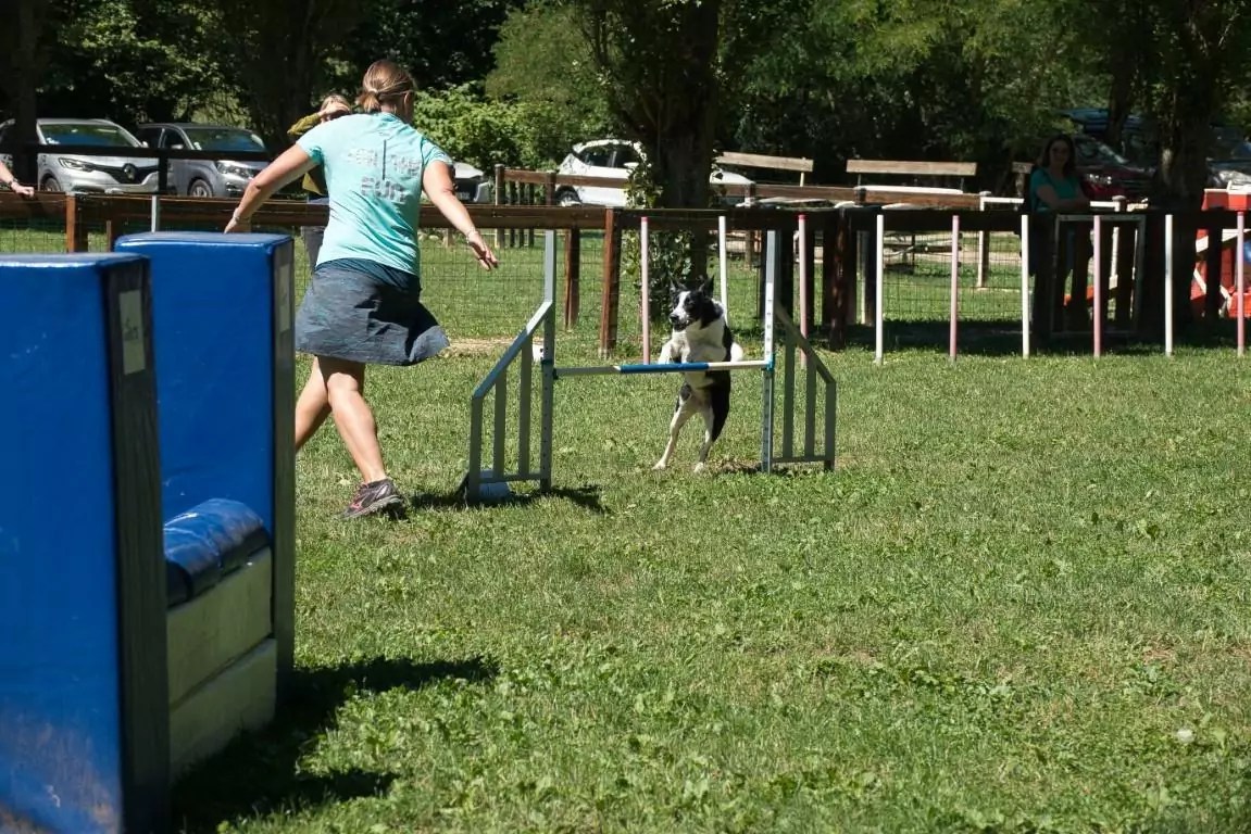 19922022. Le CASE a 30 ans ! CASE Club agility de Sainte Euphémie