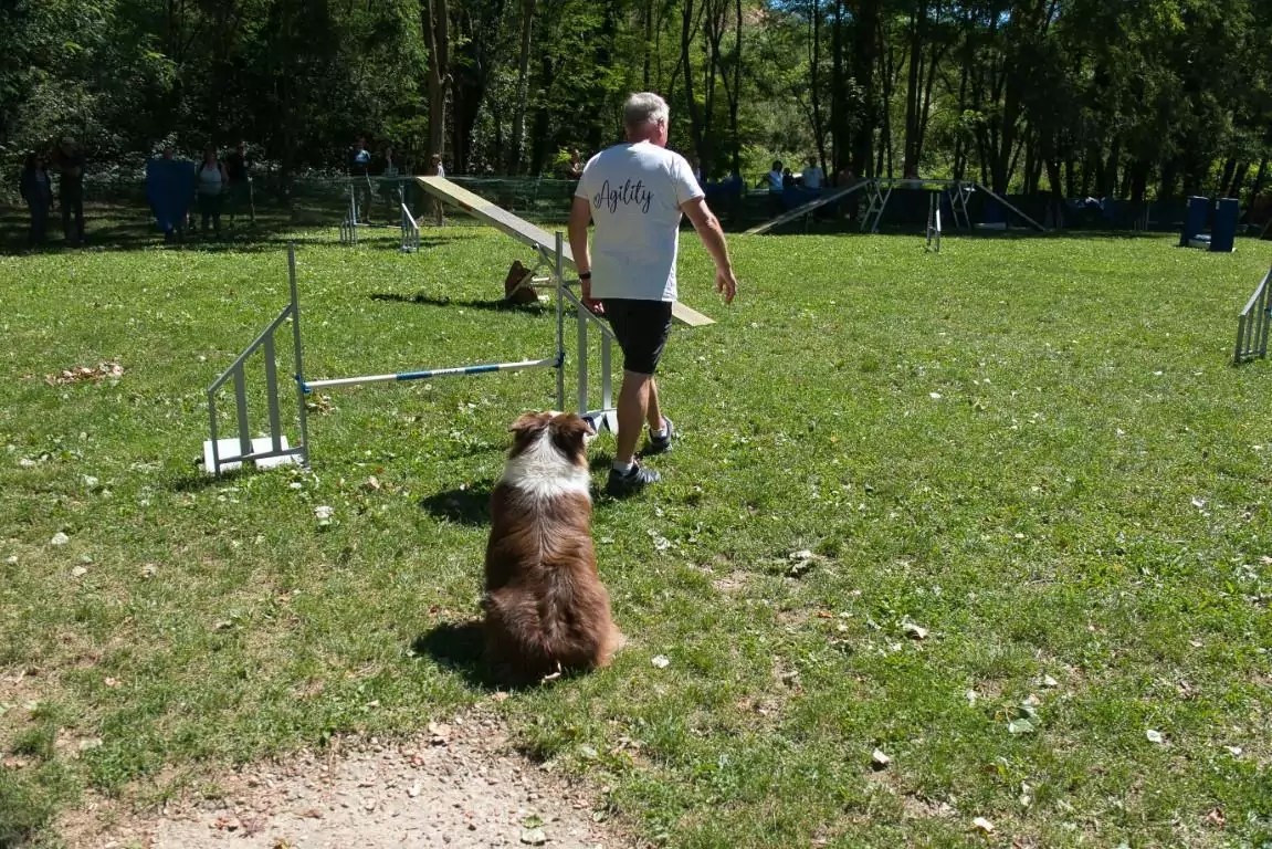 19922022. Le CASE a 30 ans ! CASE Club agility de Sainte Euphémie