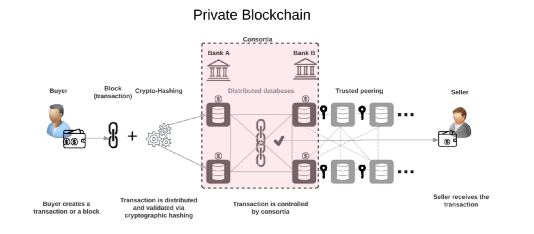 privateblockchain Cashapona