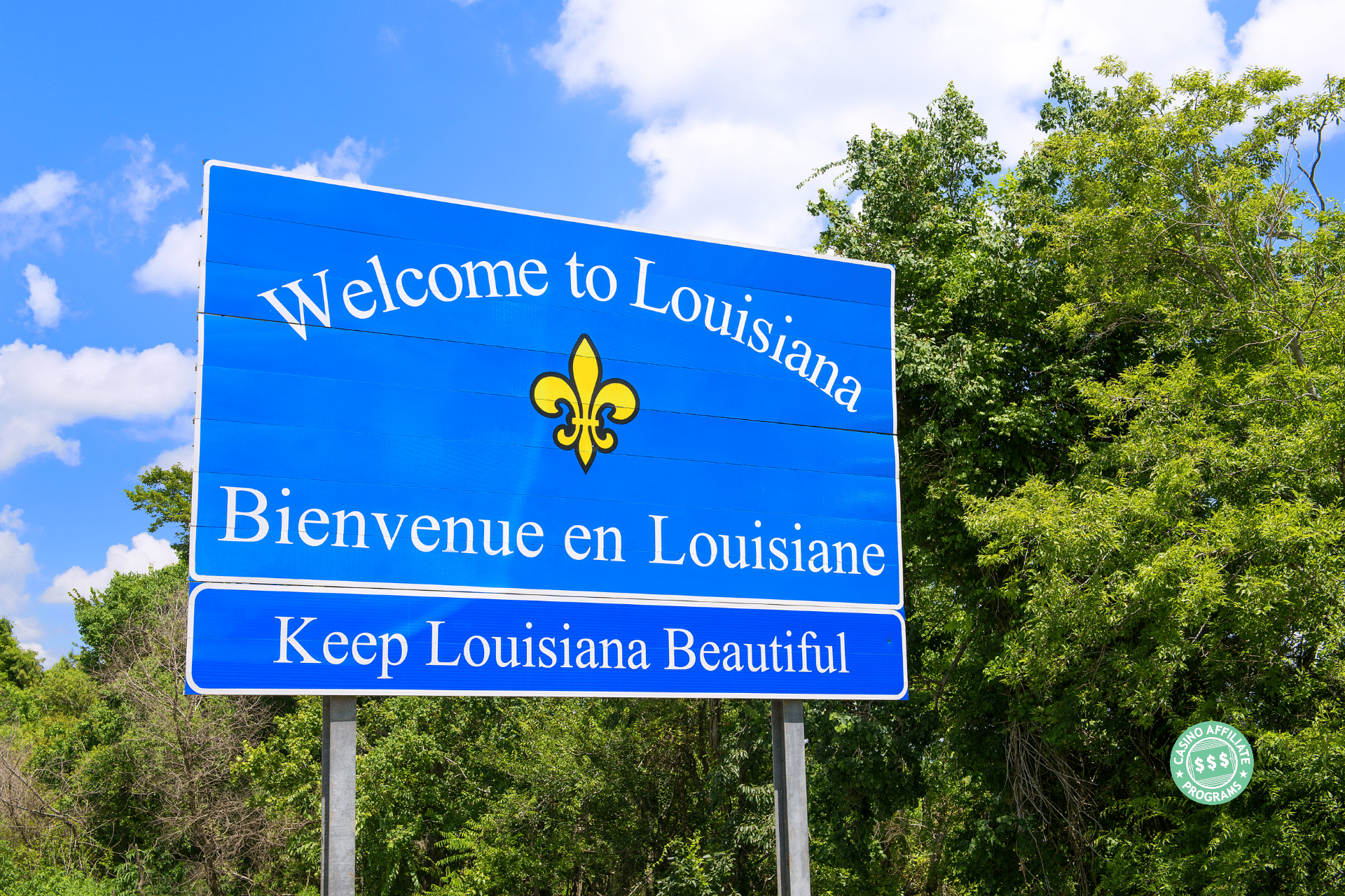 Assessing the Louisiana Market CAP