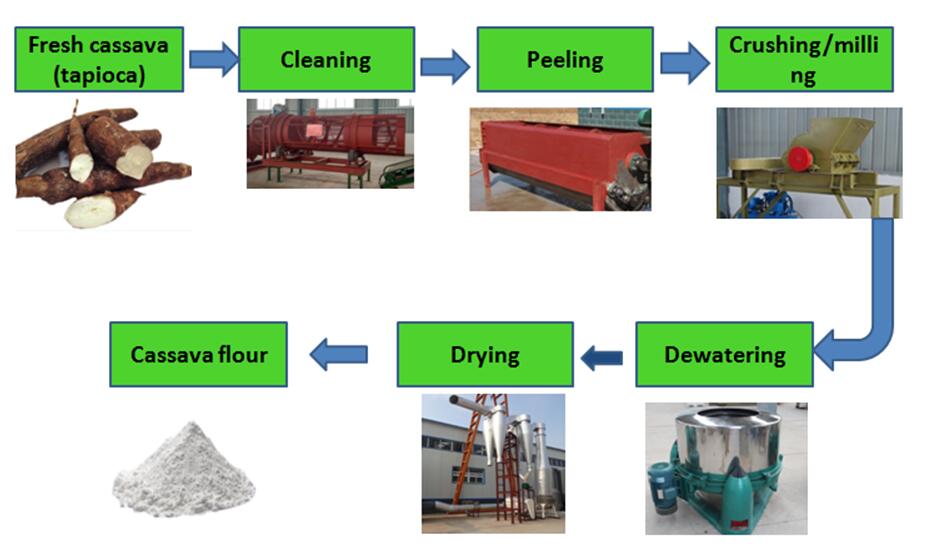 Cassava processing machine 五月 2016