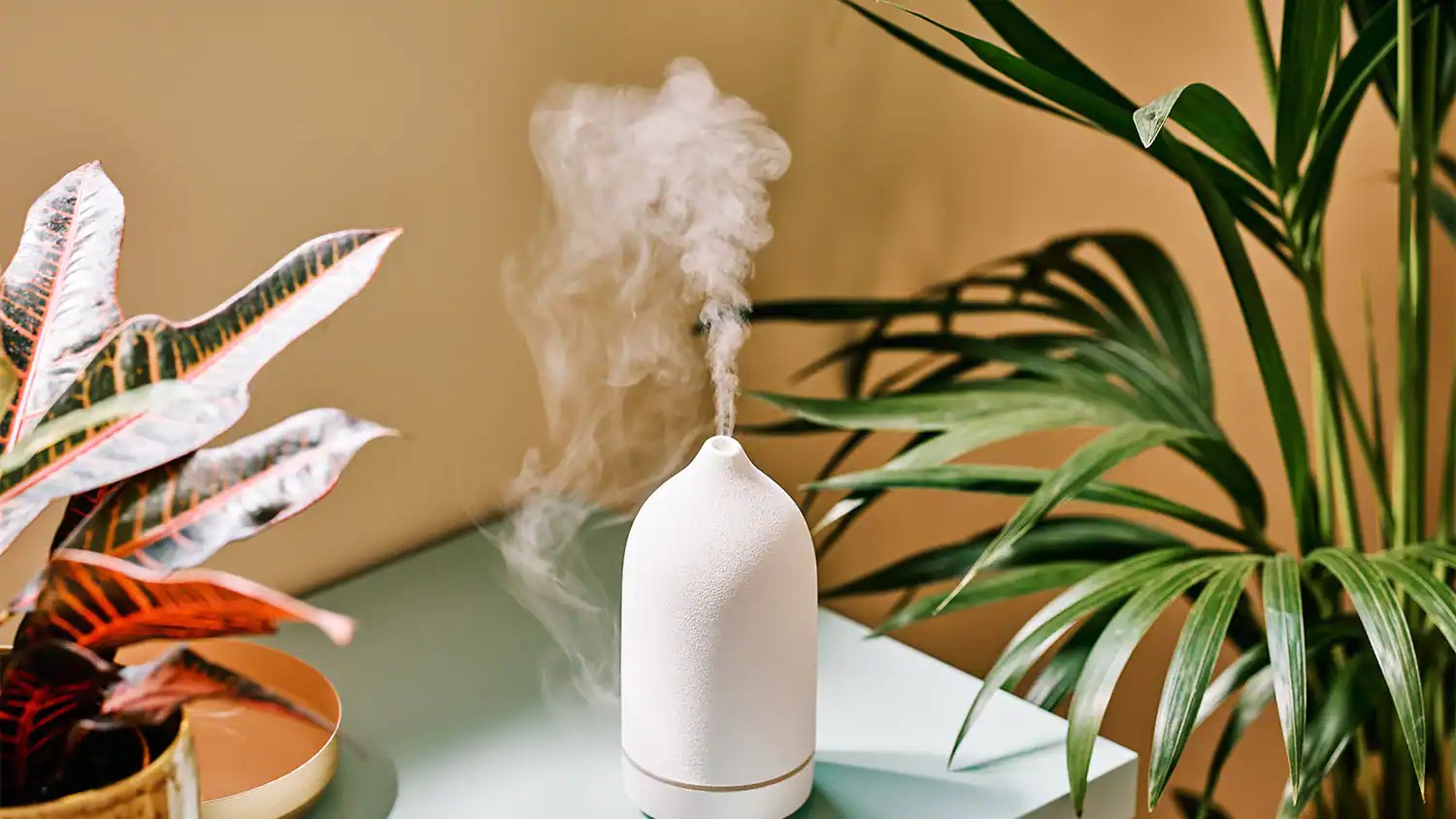 5 Essential Oils to Ward Off Bugs and Pests The Ultimate Guide Cast