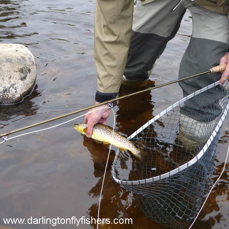 Darlington Fly Fishers Club Castbooker