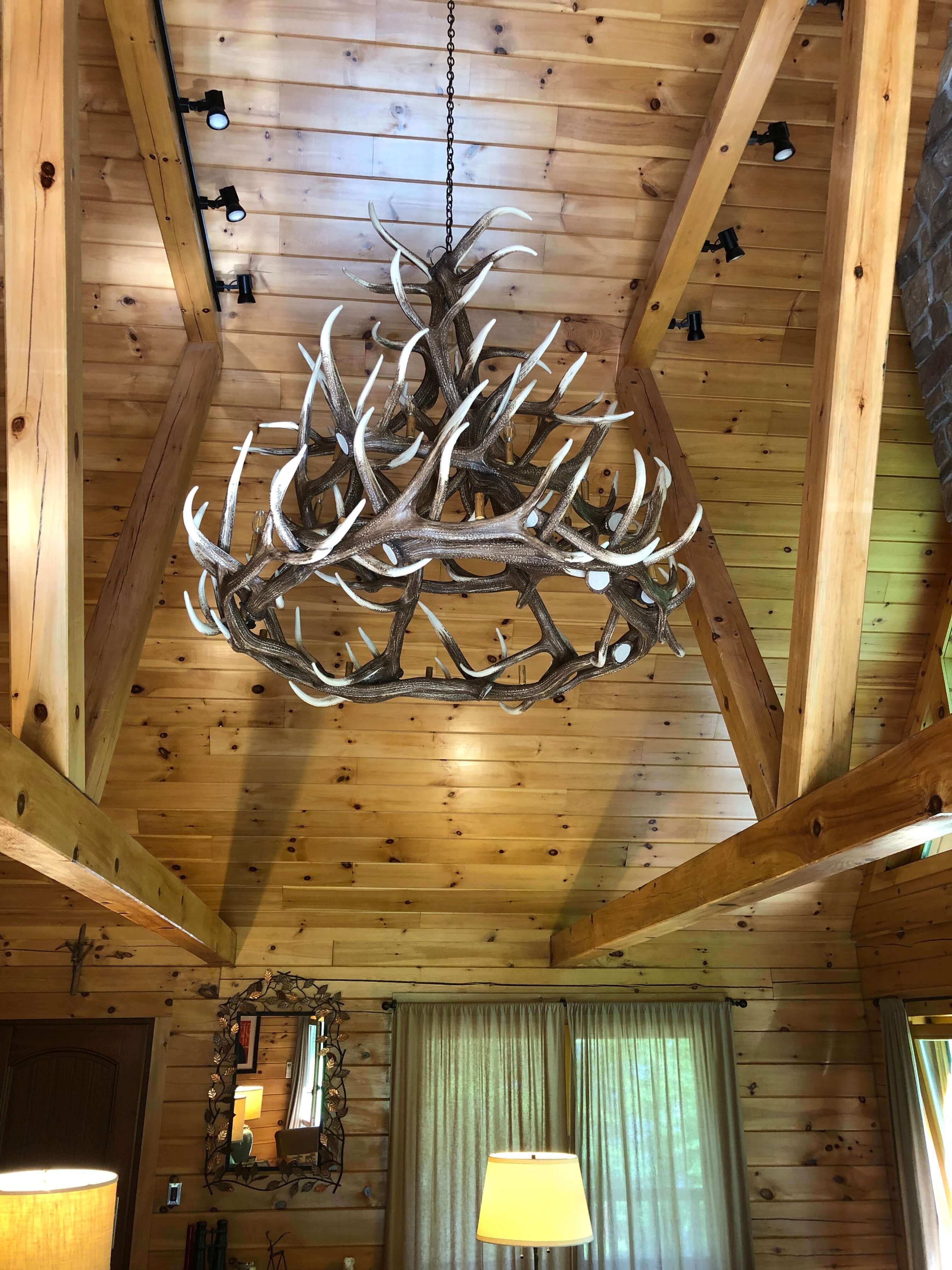 Photo Gallery & Design Inspiration Cast Horn Designs