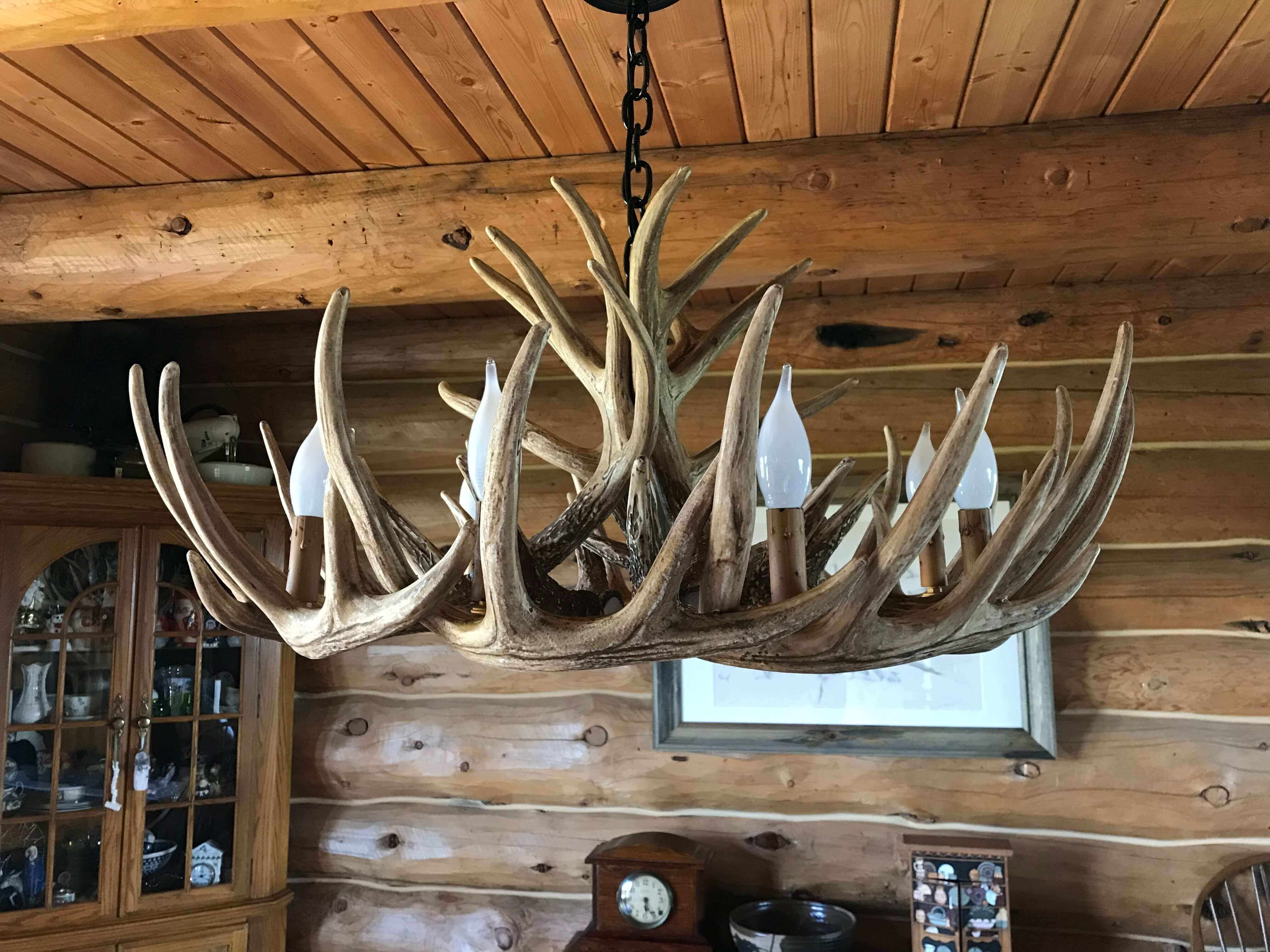 Photo Gallery & Design Inspiration Cast Horn Designs