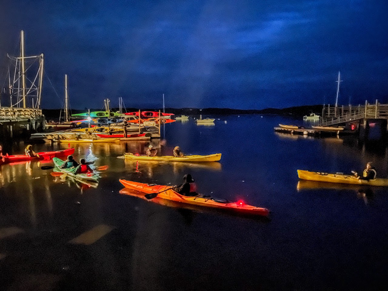 Castine Kayak Adventures Castine, ME Bioluminescent Paddling in