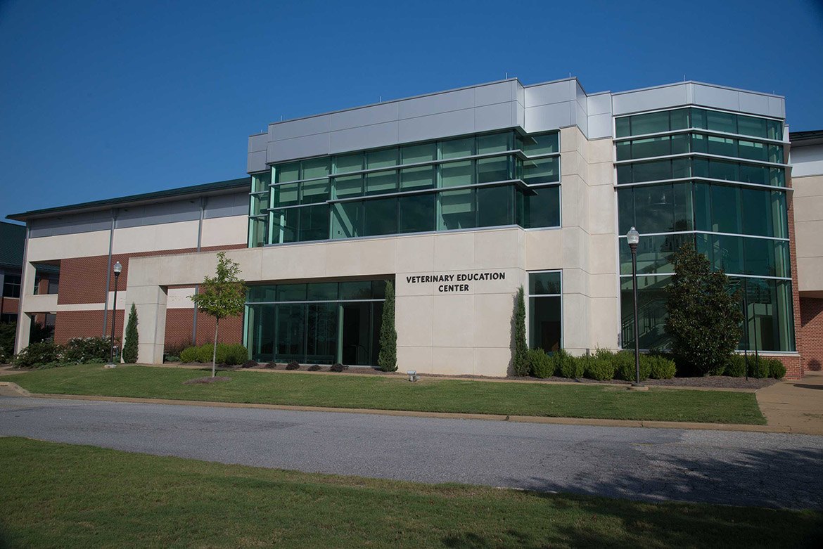 Auburn Veterinary School Castone