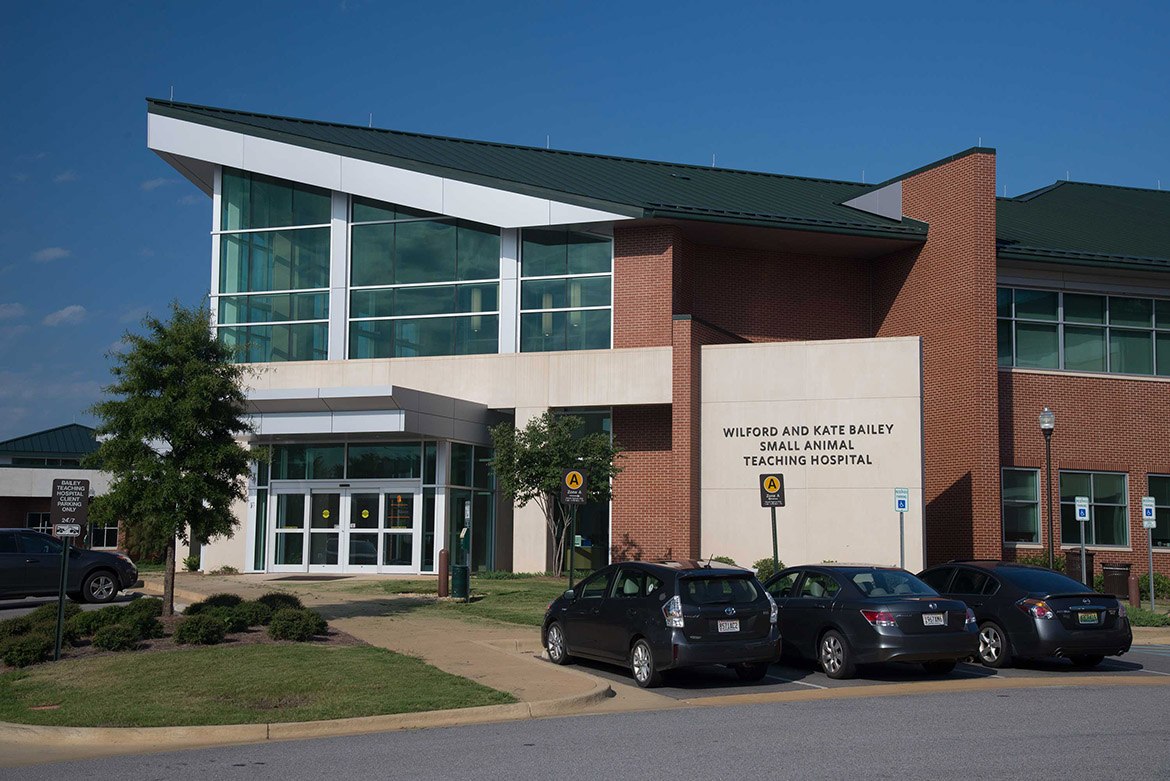 Auburn Veterinary School Castone