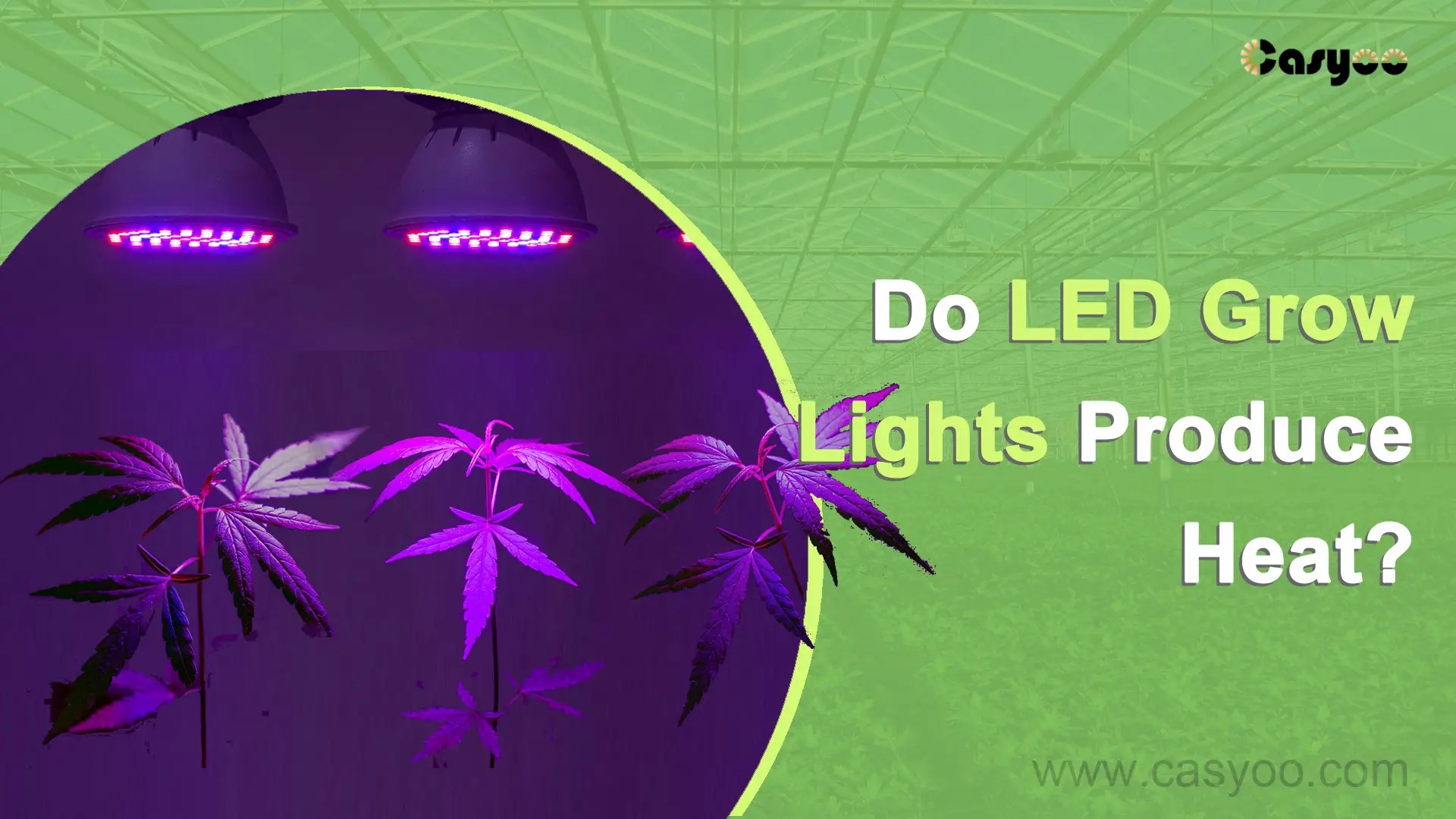 Do LED Grow Lights Produce Heat? - Casyoo