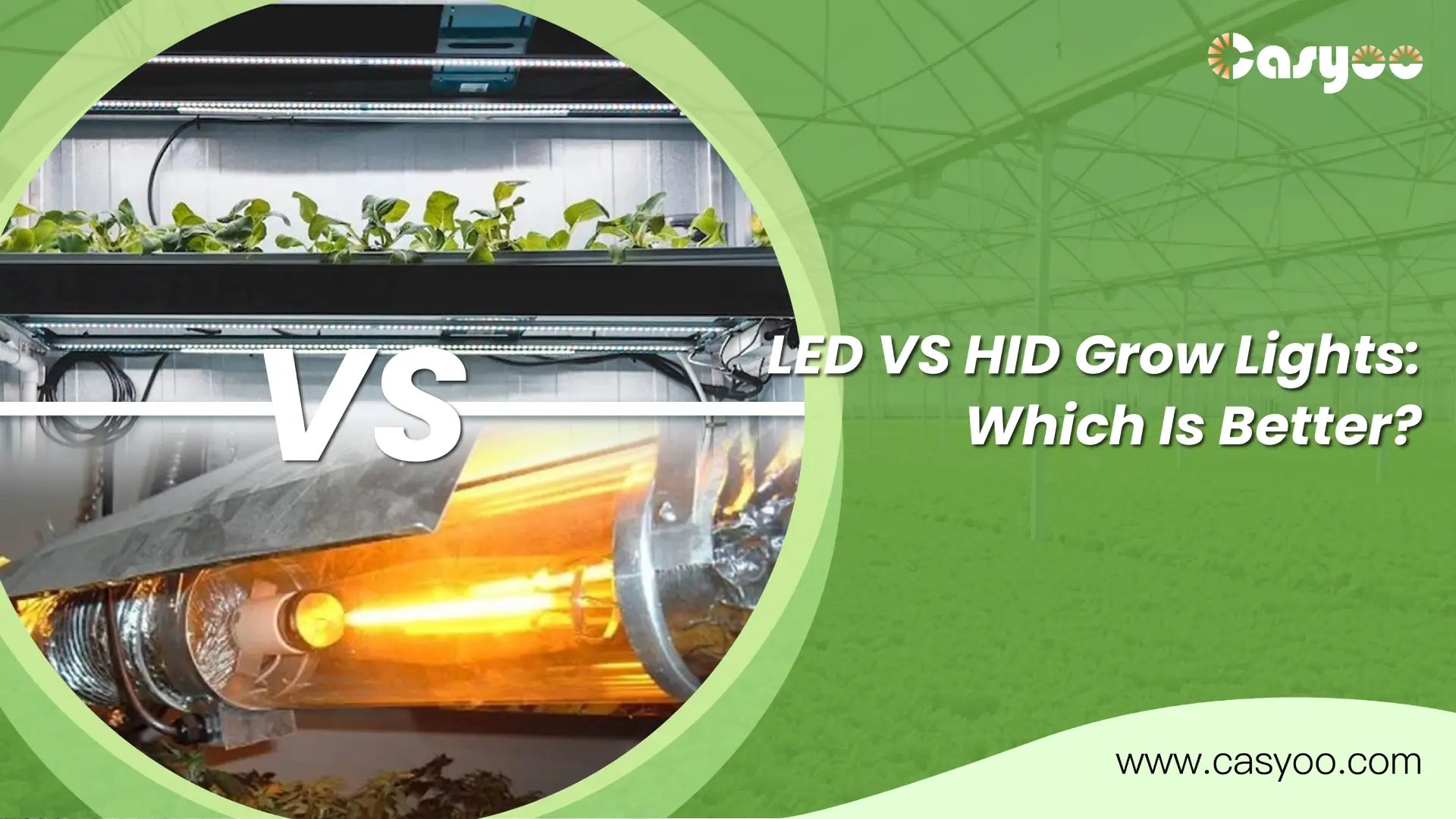LED VS HID Grow Lights Which Is Better? Casyoo