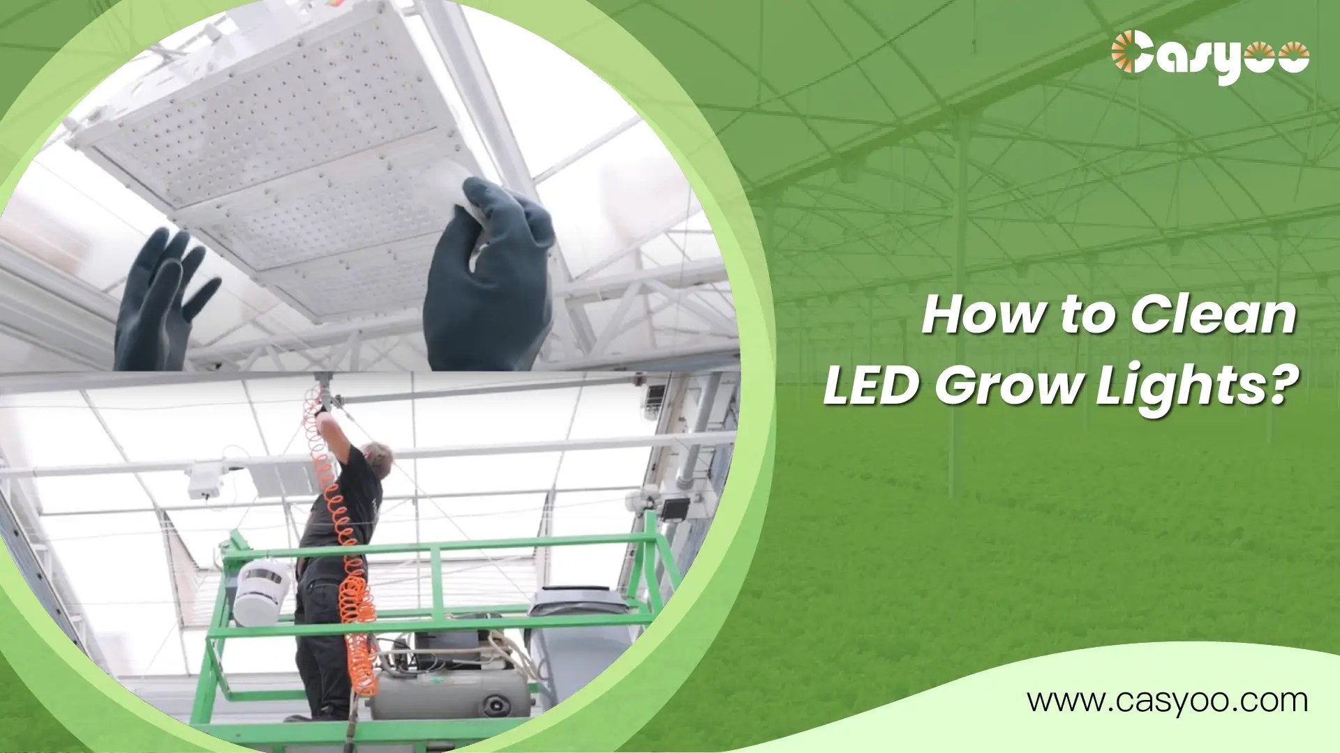 How to Clean LED Grow Lights? Casyoo