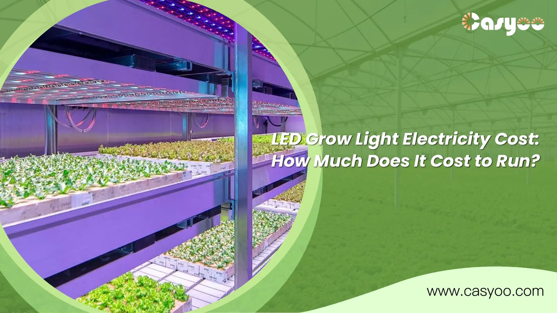 LED Grow Light Electricity Cost How Much Does It Cost to Run?