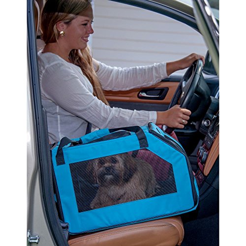 Pet Gear Signature Pet Car Seat & Carrier for cats and