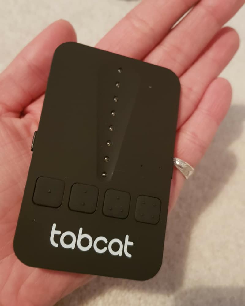 Best Cat Tracking Devices 2023 Cat About The House