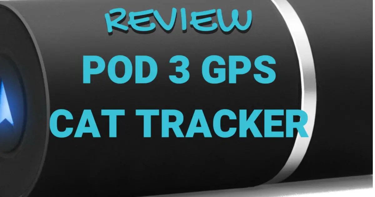 Pod 3 Tracker Review A Highly Advanced GPS Cat Tracker Cat About The