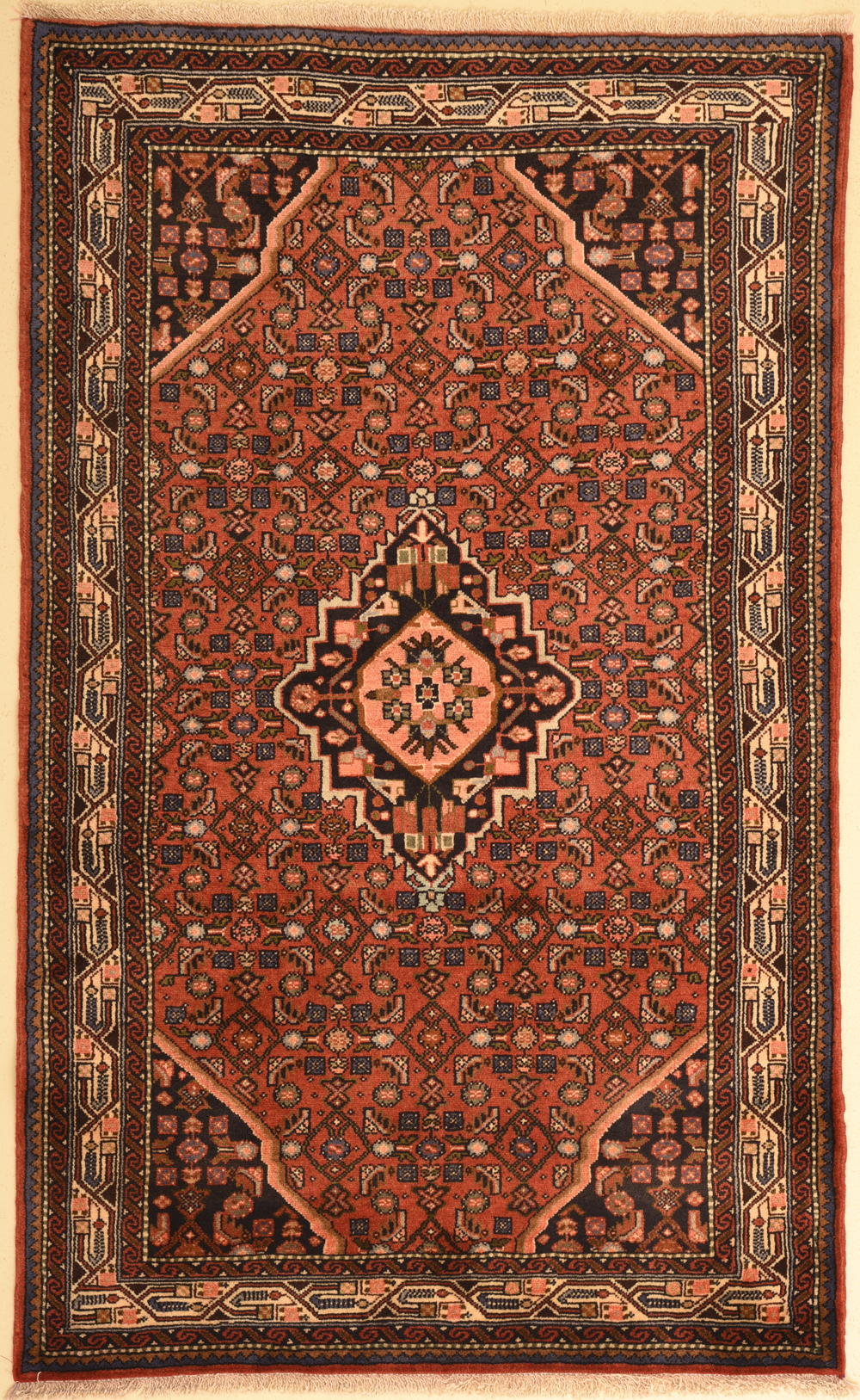 Hamadan 3'5" x 5'7" Catalina Rug