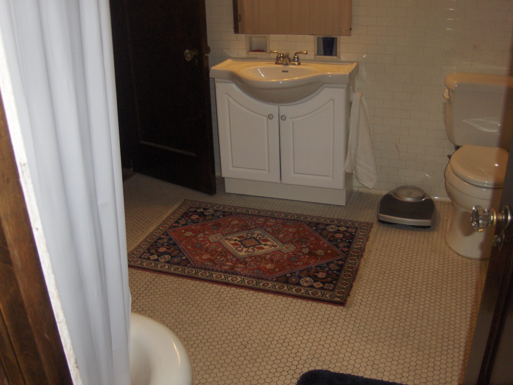 1' x 2' to 3' x 4' Oriental & Persian Rugs Catalina Rug