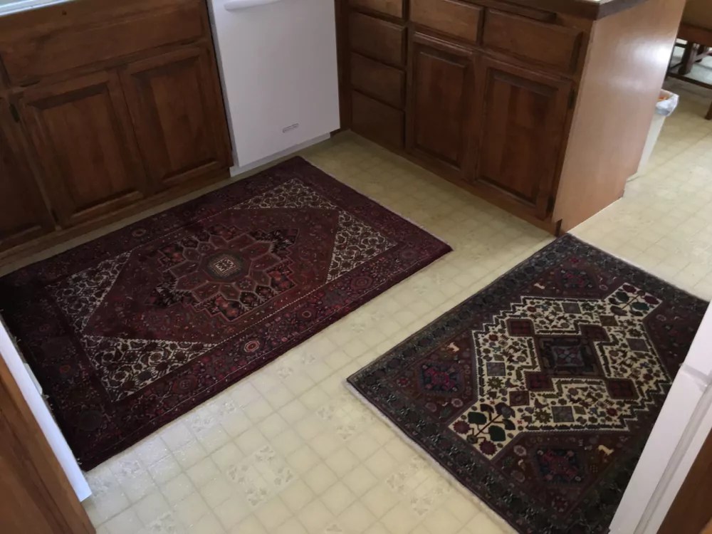 1' x 2' to 3' x 4' Oriental & Persian Rugs Catalina Rug