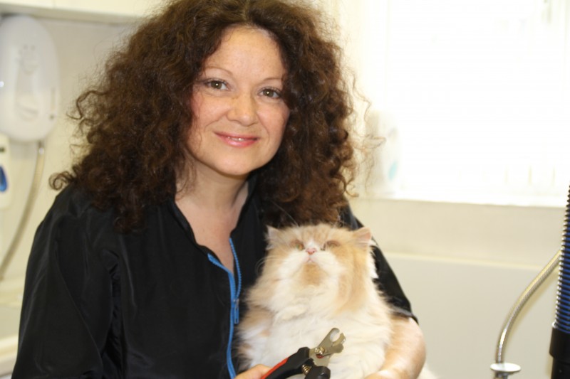 Anita Kelsey Cat Behaviourist. Cat Behaviour Explained.