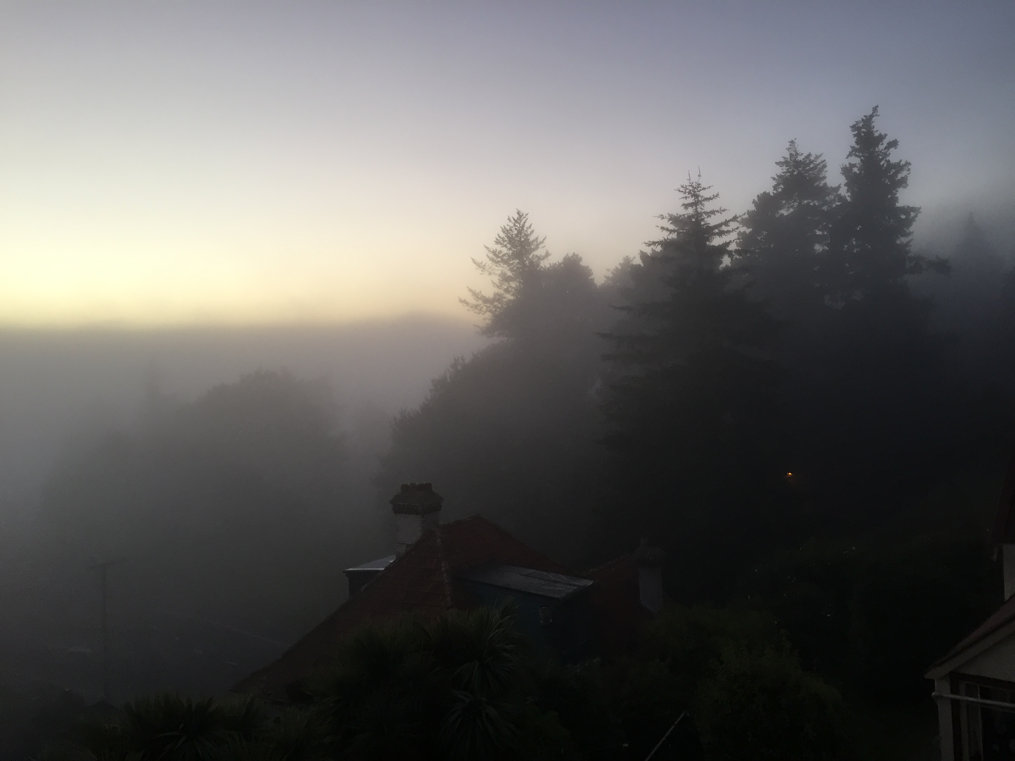 Morning fog