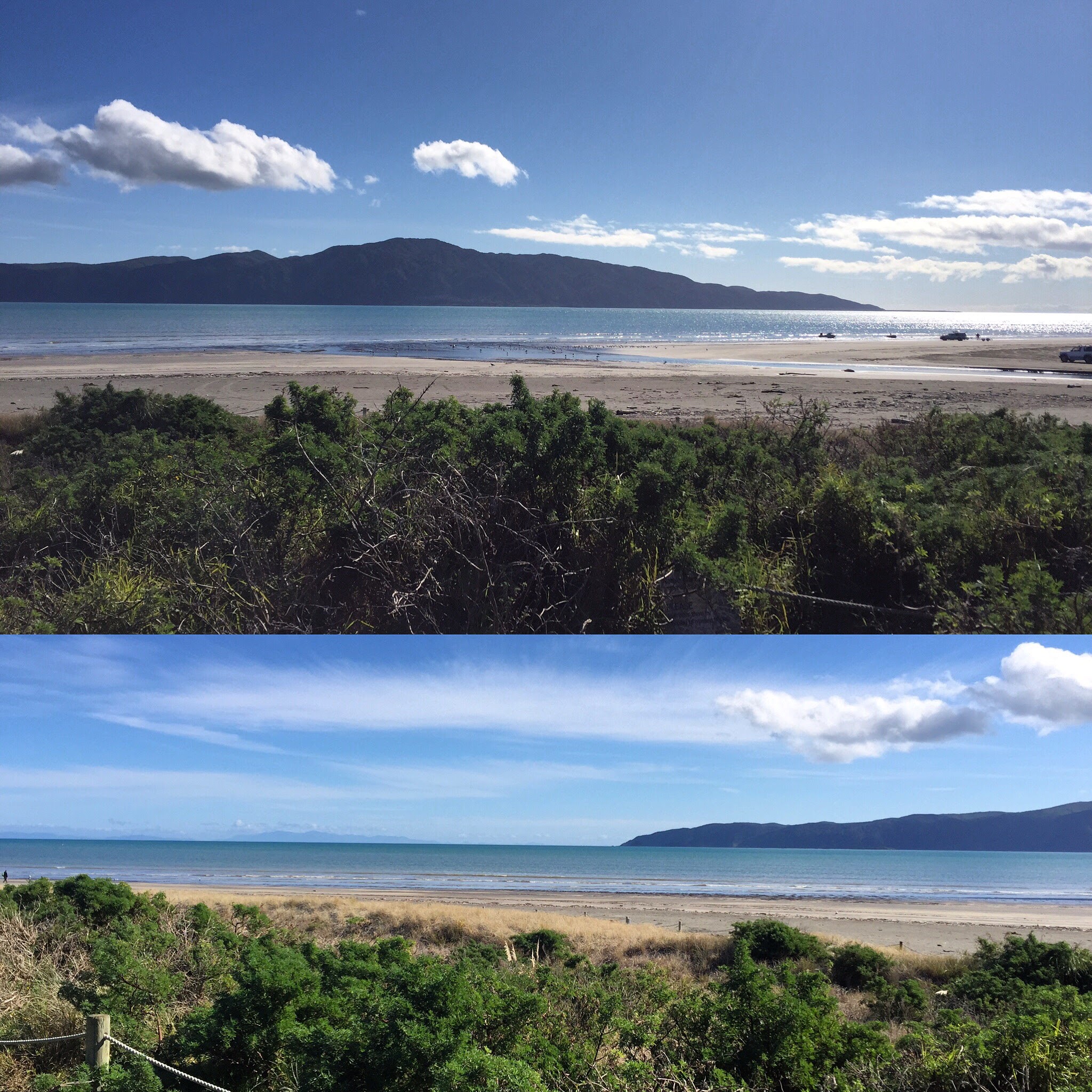 Beach, driftwood & playground fun at a day on the Kapiti Coast Catching the Magic