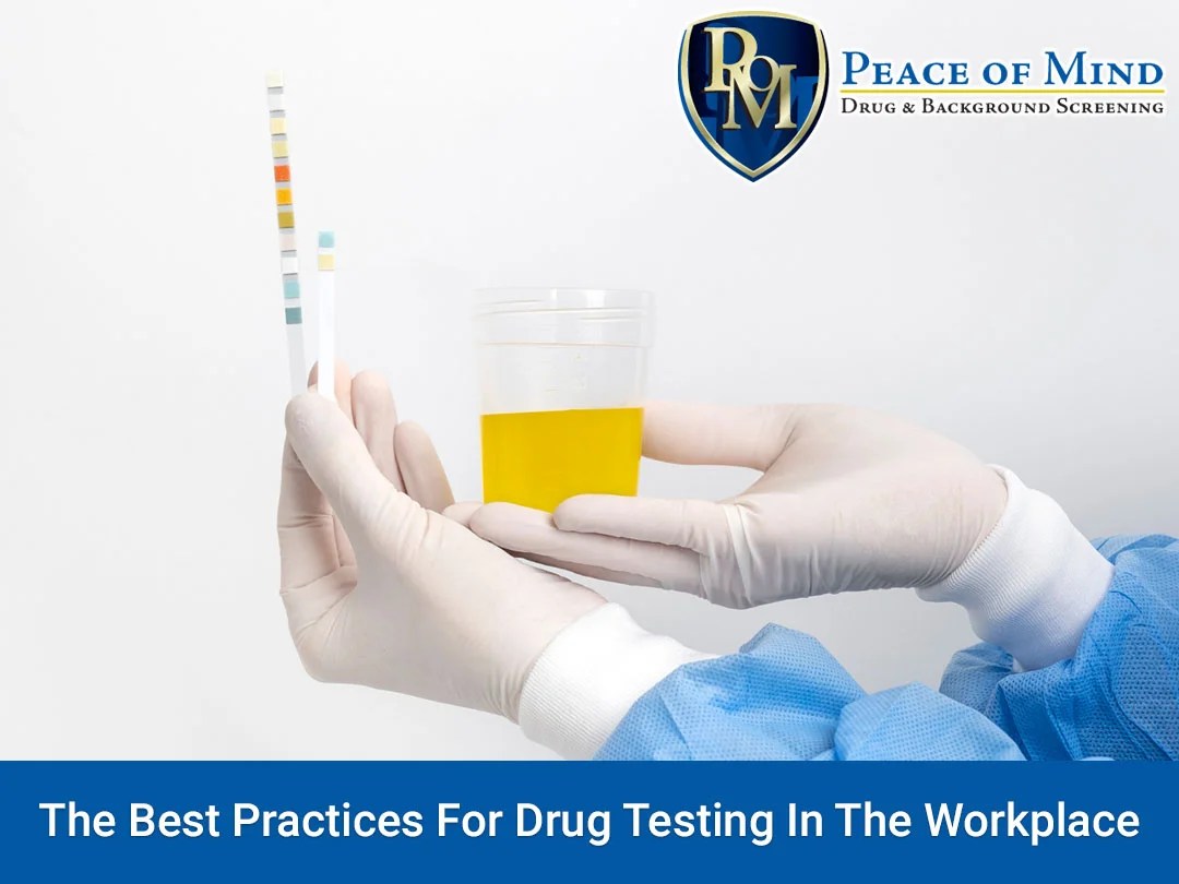 The Best Practices For Drug Testing In The Workplace Peace of Mind