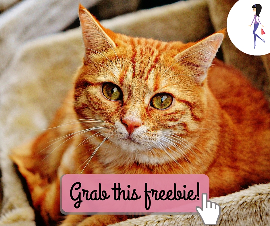 Purina Cat Food Sample CatchyFreebies