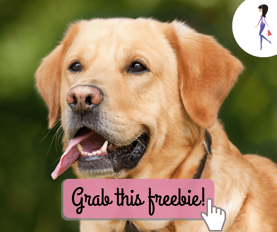 Nulo Pet Food Coupon CatchyFreebies