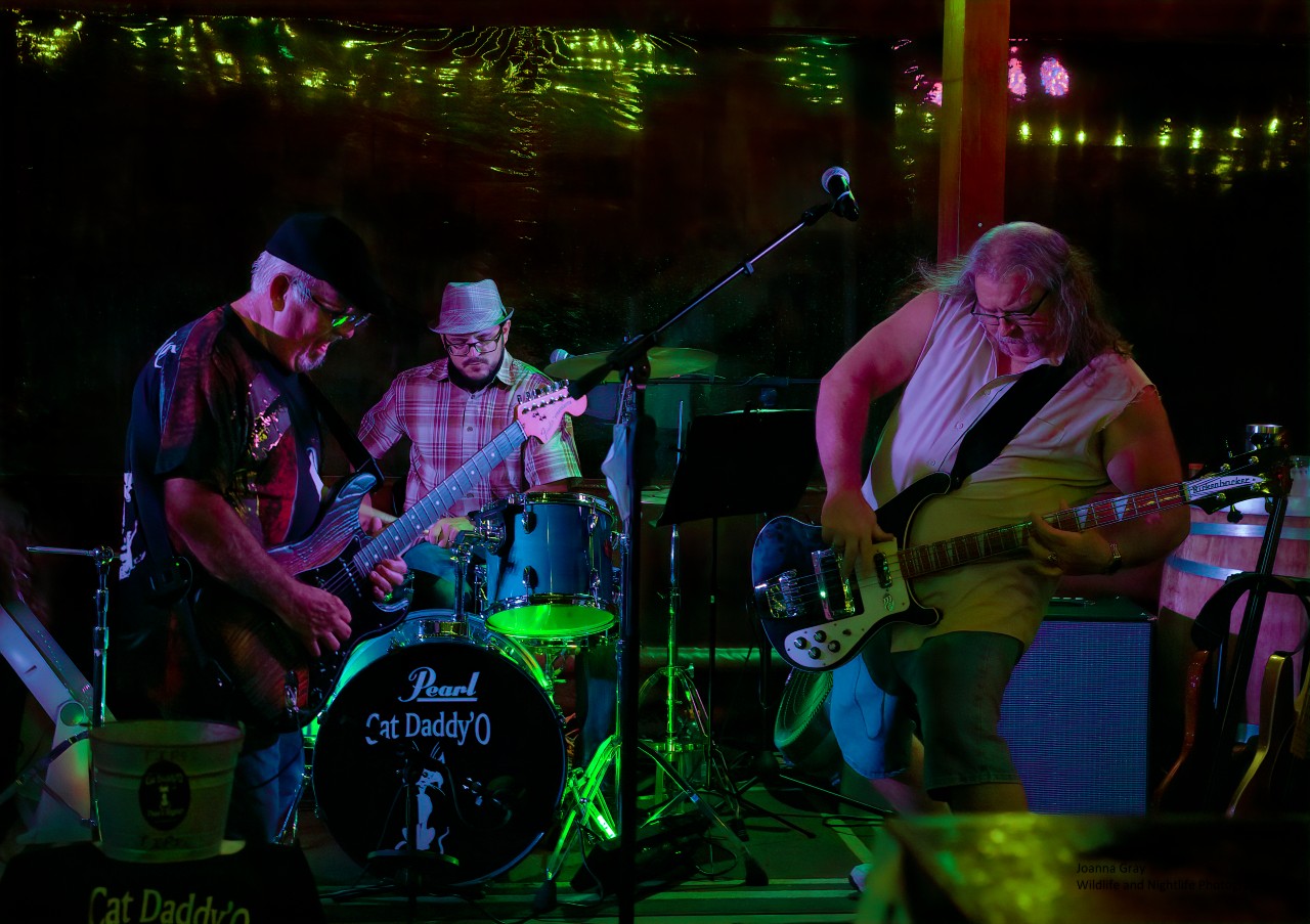 Photos Cat Daddy’O