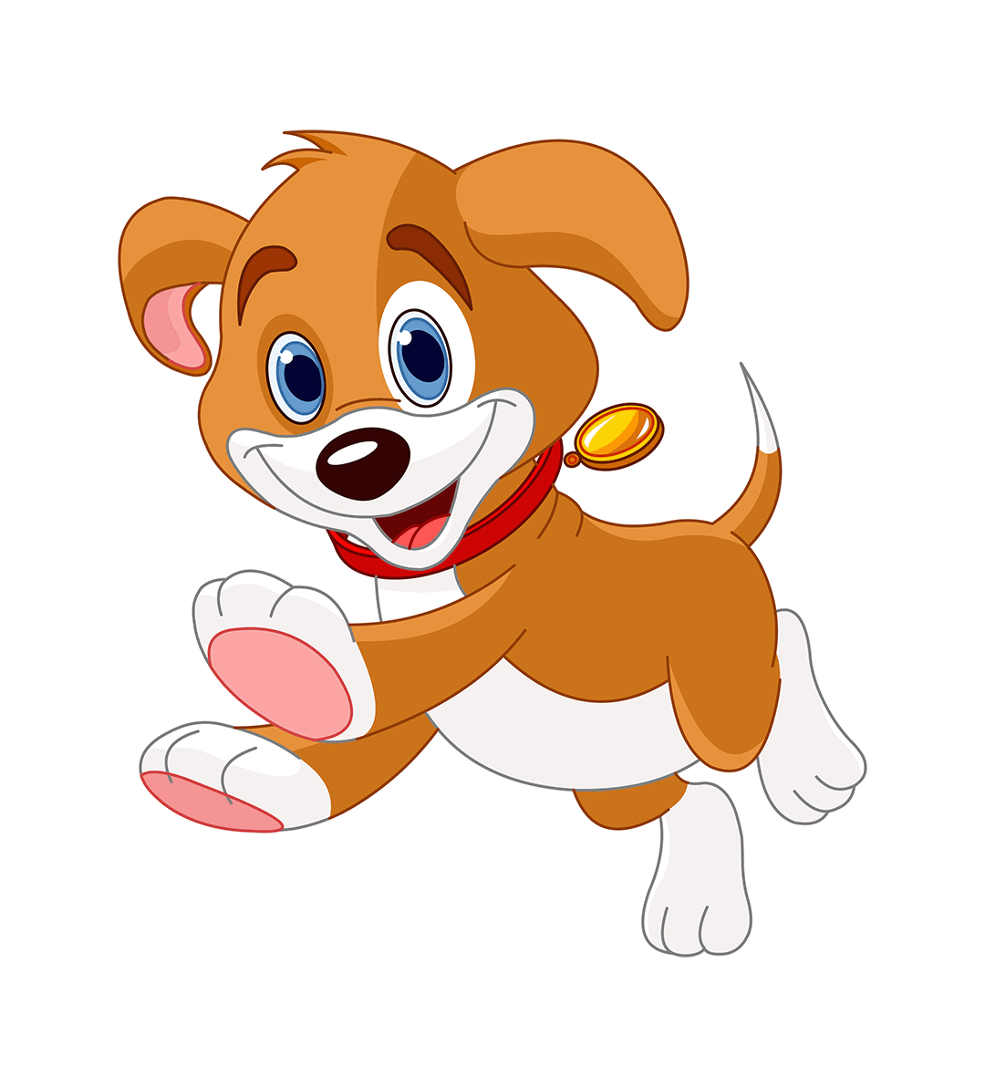 Cat Diggity Dog™ Pet Grooming A Pet Spa Wonderland! Hicksville