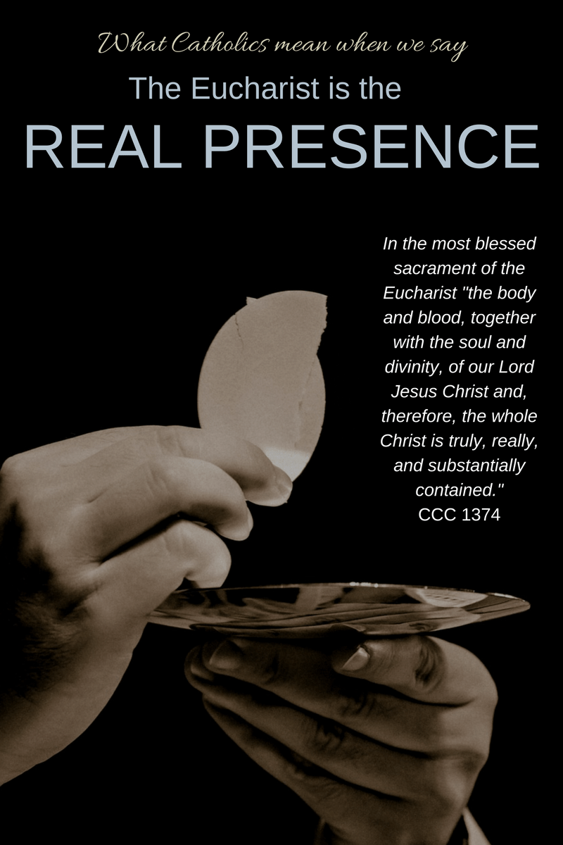 Infographic What Catholics Mean When We Say "Real Presence