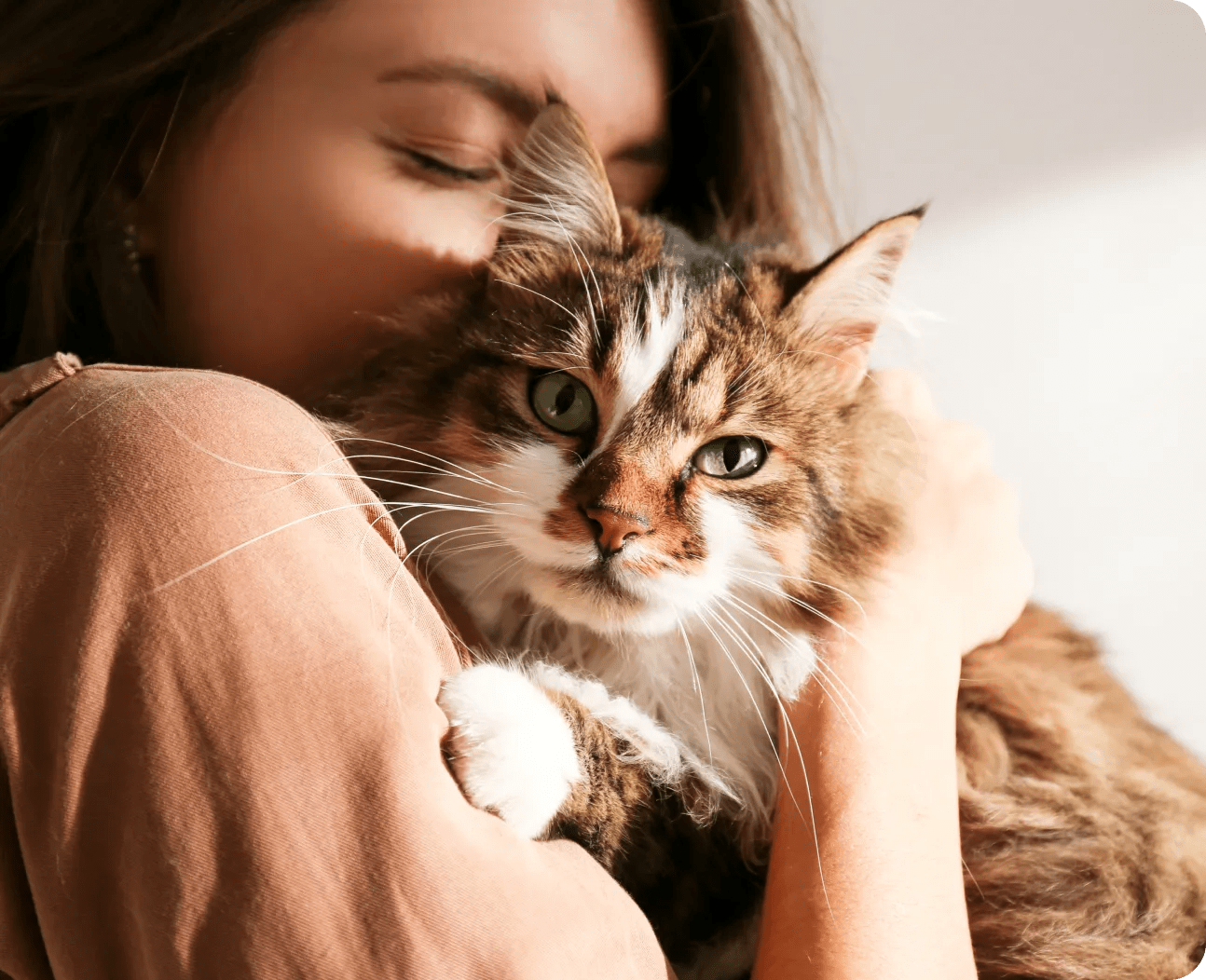 About Cat Food Advisor