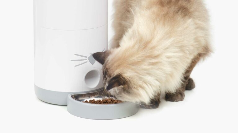 Catit PIXI Smart Feeder - Products