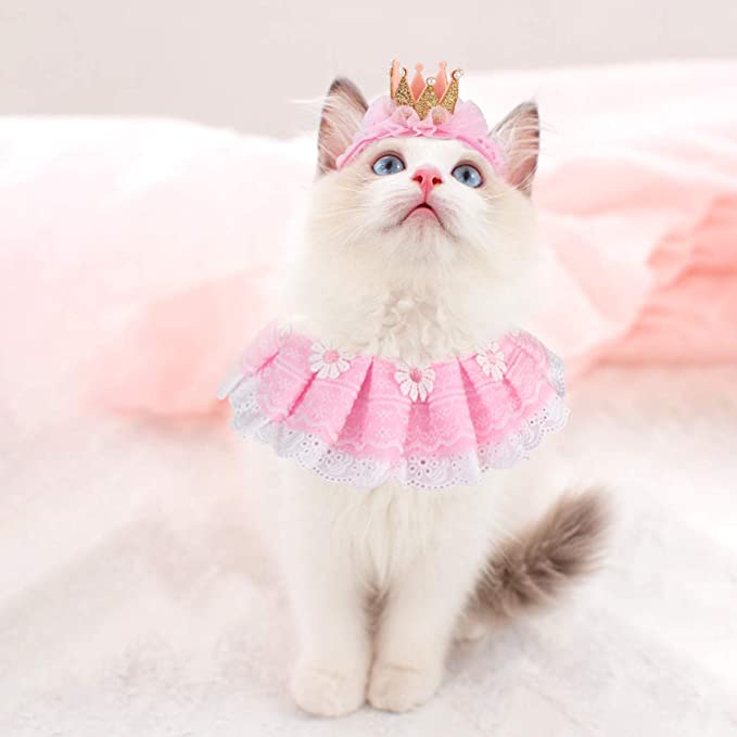 Costume For Cats Is It Cruel To Put Costumes On A Cat? Cat Kindred