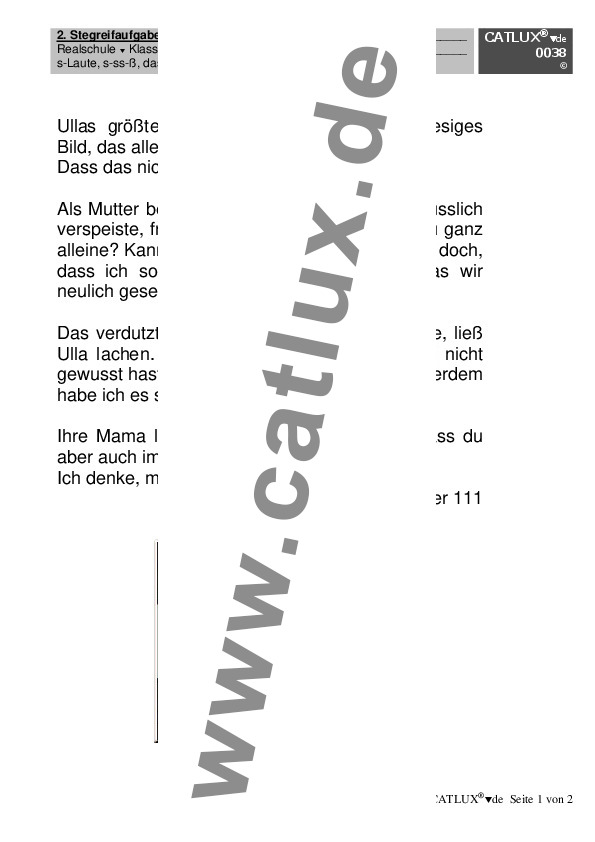 Diktate und Rechtschreibung Deutsch Klasse 5 Realschule Catlux