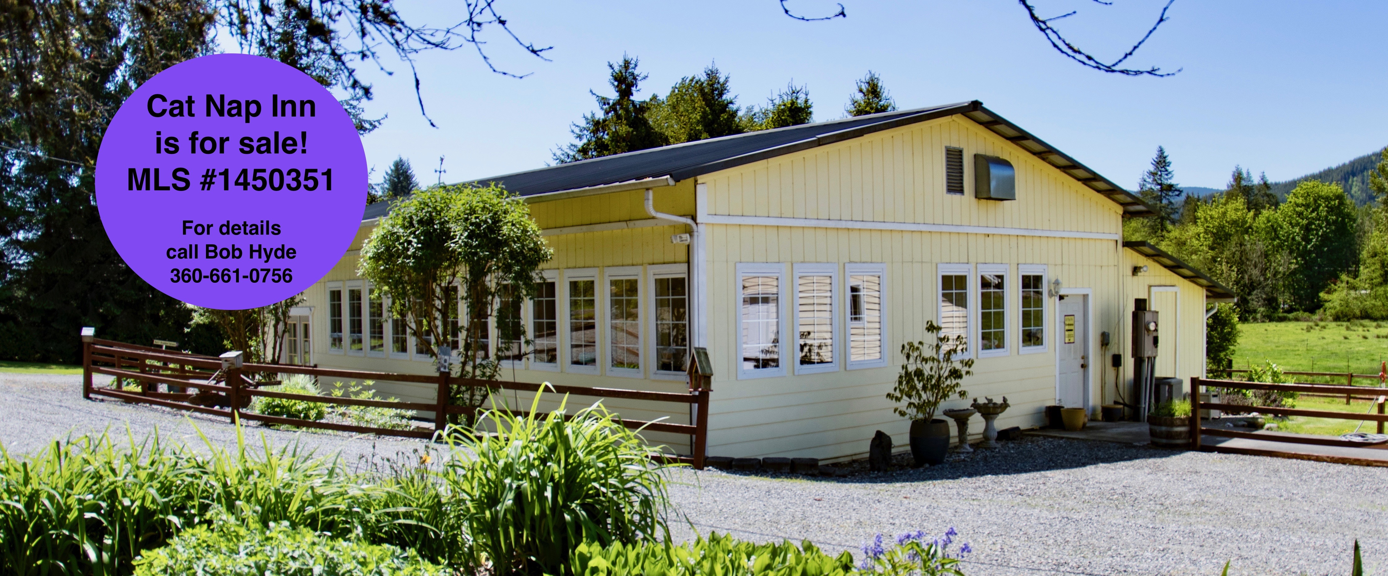 Cat Nap Inn Bed & Breakfast, Exclusively for Cats