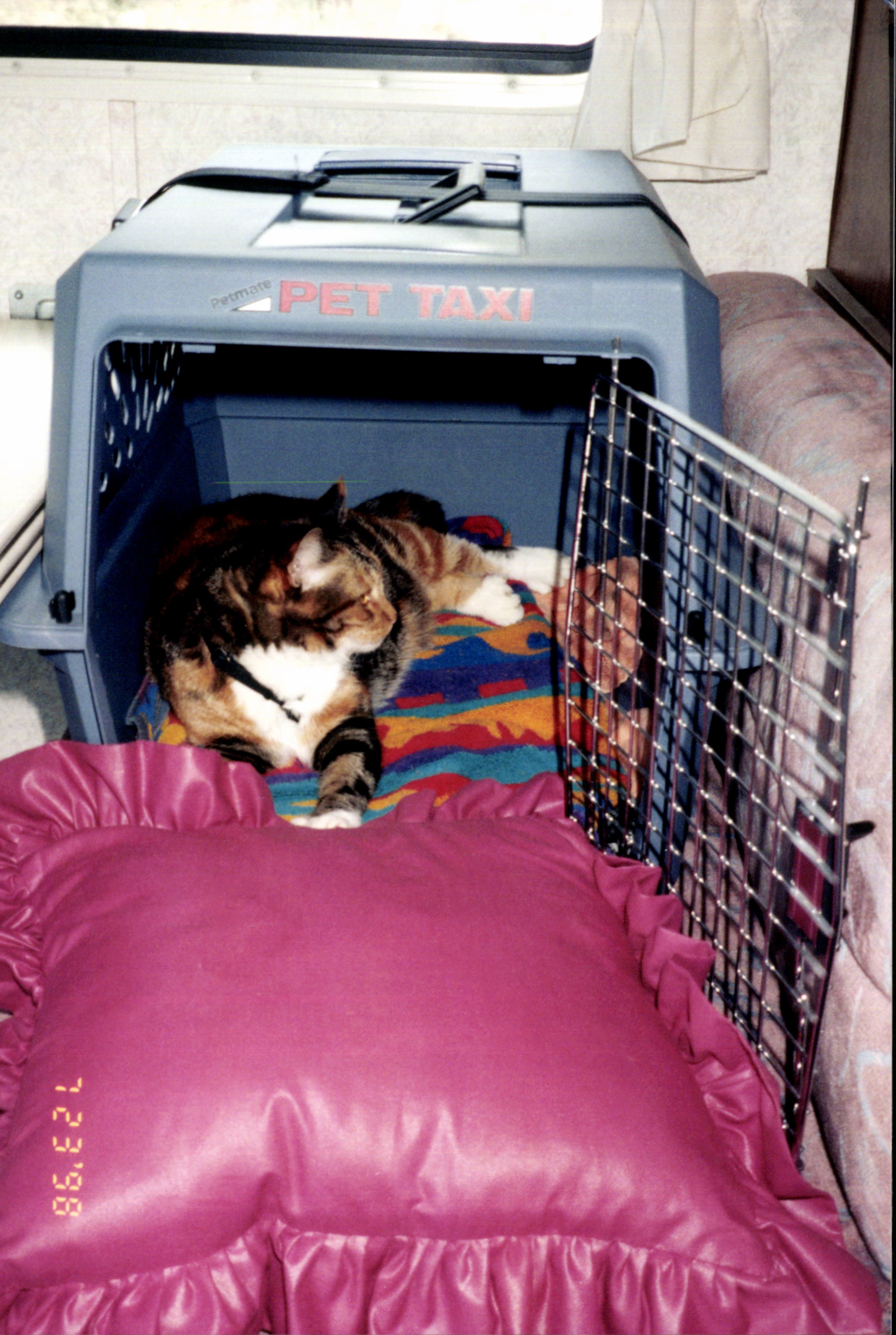 Cats and Crates Catnip Casa Cat Refuge