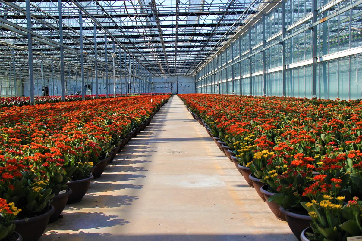 Catoctin Mtn Growers